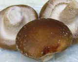 生シイタケのチン作り方1写真