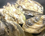 殻ごと｡｡｡牡蠣のじぶ蒸し作り方5写真