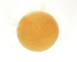 クルミと煮干しとめんつゆとはちみつ佃煮作り方2写真