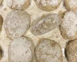おからでかさまし☆ポテトコロッケ作り方11写真