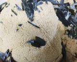 自家製ぬか漬けたくわん作り方4写真