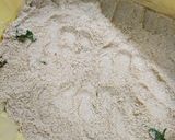 自家製ぬか漬けたくわん作り方11写真