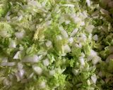 白菜大量消費!白菜たっぷり美味しい餃子作り方1写真