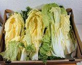 売切御免、白菜漬けと鯖缶でミルフィーユ作り方2写真