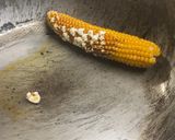 ポップコーンリボルバー作り方2写真