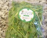 ケールとフルーツのスムージー作り方1写真