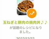 玉ねぎと豚肉の焼肉丼♪♪作り方5写真