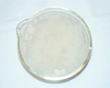 【ひとり鍋】魚介のみぞれ鍋☆ぽん酢醤油味作り方5写真