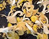 たもぎ茸と水菜のふわとろ卵炒め作り方6写真