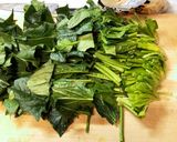もやしとほうれん草とツナのナムル作り方1写真
