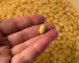 ヨーグルトメーカーで手作り納豆作り方2写真