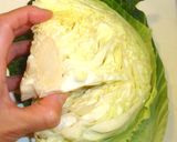 疲れた胃に❤鶏肉の巻かないロールキャベツ作り方3写真