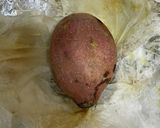 ノンフライヤーで作るトロあま焼き芋作り方5写真