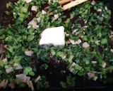 野菜嫌いな子どももペロリ　小松菜の卵焼き作り方3写真