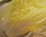 白菜たっぷり消費!麻婆白菜作り方1写真