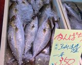 カンパチ（かんぱち）フライ～魚の駅生地～作り方1写真