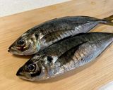 アジ（鯵）丼～魚の駅生地～作り方1写真
