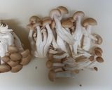 ☆おから&味噌&牛乳☆きのこのグラタン作り方2写真