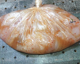 メジナのサクッふわっ中津風唐揚げ作り方3写真