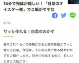 15分で◎鶏と白菜のオイスターソース煮◎作り方13写真