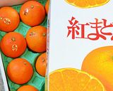 “紅まどんな”のオレンジピール♪作り方1写真