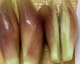 ミョウガの冷凍保存方法〜(o˘◡˘o)♡作り方3写真