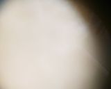 具だくさんの炊き込みご飯作り方8写真
