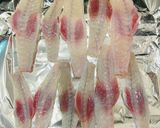 釣ってきたフグ3種鍋作り方6写真