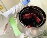 ごはんがすすむ！窯焼きチャーシュー丼作り方9写真
