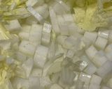 餃子作り方2写真