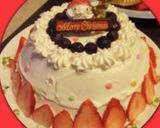クリスマスにも！アイスドームケーキ作り方10写真