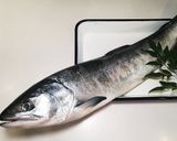 新巻鮭のおろし方&冷凍保存作り方1写真