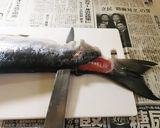 新巻鮭のおろし方&冷凍保存作り方7写真