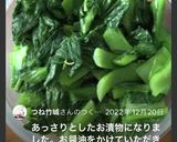 ★袋で簡単！即席 高菜漬け作り方12写真