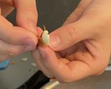 落花生豆腐　鹿児島のレシピ作り方3写真
