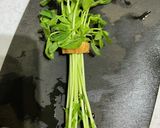 おでんに豆苗作り方3写真
