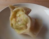 焼き餃子　～たっぷりタマネギ入り～作り方19写真
