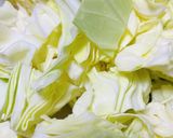 キャベツたっぷりミソ炒め作り方1写真