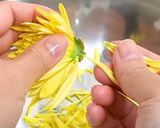 フードドライヤーでつくる干し菊作り方1写真