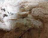 ビールのお供に　ヤンニョムチキン作り方2写真