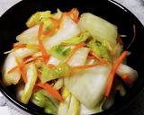 白菜と人参の浅漬け作り方5写真