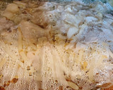 レンジで簡単☆豚バラもやしの旨ダレ蒸し作り方8写真