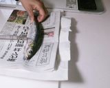 鰯のおろし方 筒切り作り方1写真
