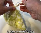 無限白菜作り方1写真
