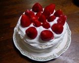 おから入りスポンジケーキ作り方10写真