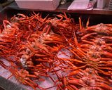 紅ずわいがにの「鉄砲汁」~魚の駅生地~作り方1写真