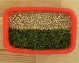 ［糖質制限］簡単＊鶏の松風焼（のし鶏）作り方6写真