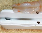 簡単 えびの背わたとり作り方1写真