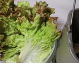 ホームベーカリーdeサニーレタスの食パン作り方1写真