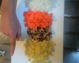白米に合う高野豆腐~絶品トーフミール~作り方1写真